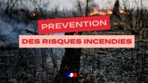Vigilance orange feux de forêt dans la Manche