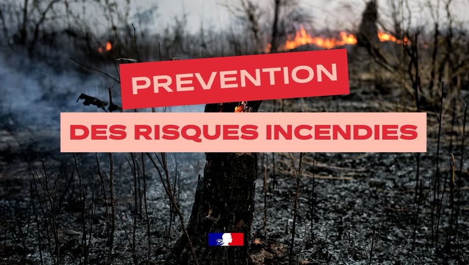 Vigilance orange feux de forêt dans la Manche